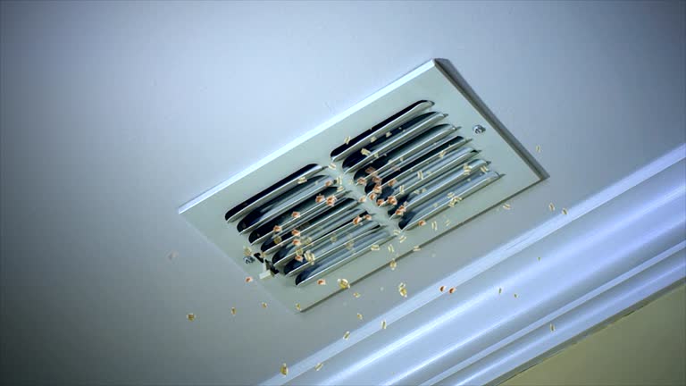 Best HVAC Duct Inspection Services  in Sheboygan Falls, WI